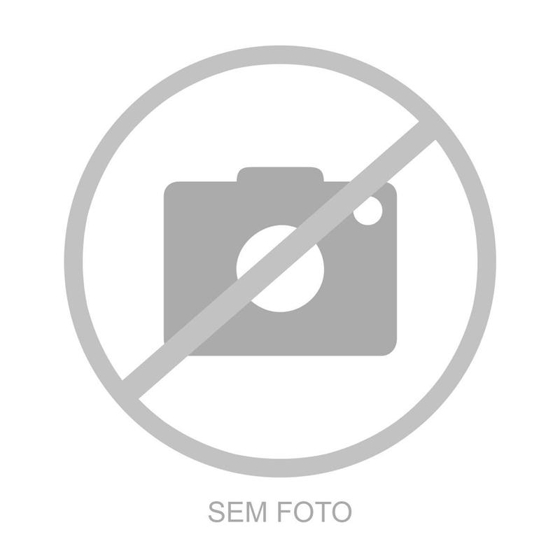 CAMINHAO SCANIA SCANIA 113 320